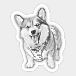 Pembroke Welsh Corgi Sketch Design Sticker